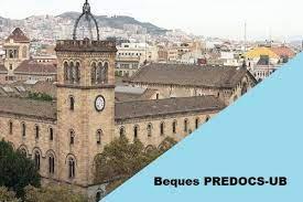 ajuts PreDOCS